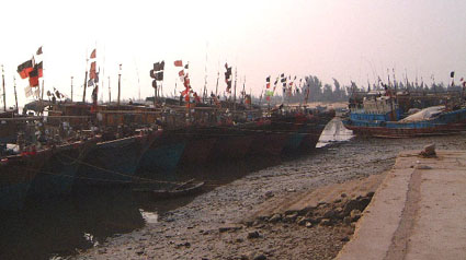 A line of fishing boats in port