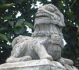 Stone Lions