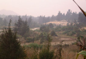 View of Zhixian brook