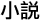 xiaoshuo